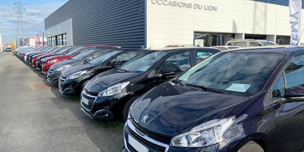 Peugeot Gemy Angers Occassion