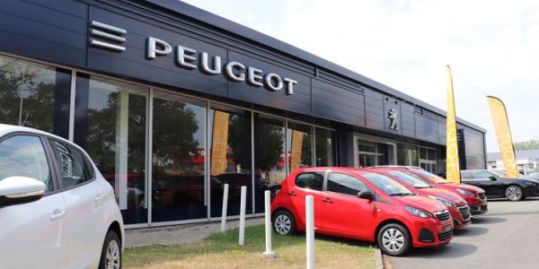 Peugeot Gemy Dinan